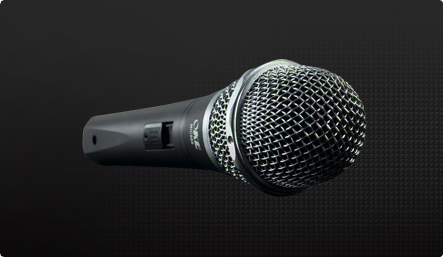 OKE Professional Karaoke Microphone System