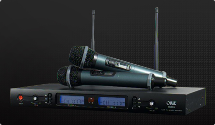 OKE Professional Karaoke Wireless Microphone